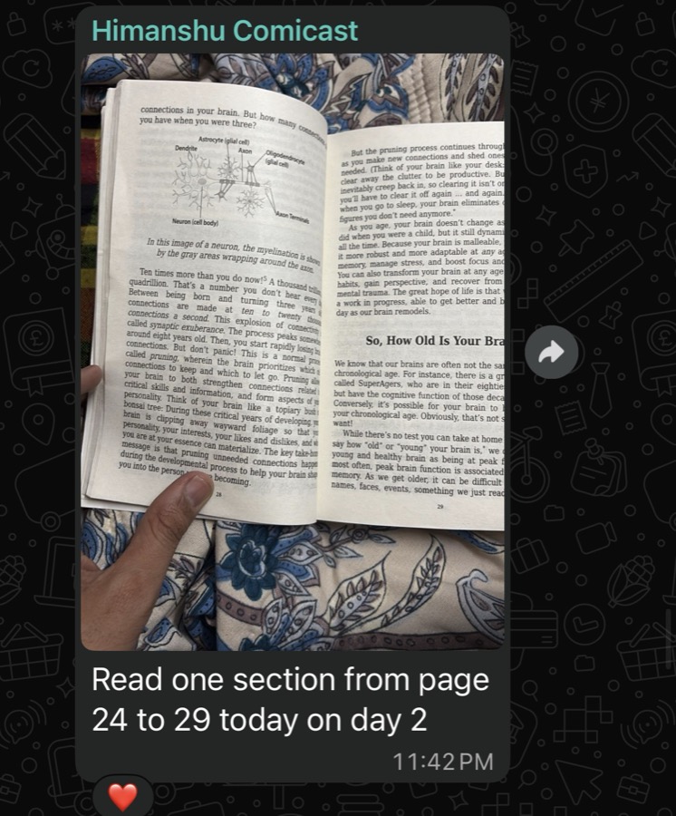 WhatsApp check-in: open book, page 24-29 read on day 2.